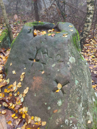 Leistadt, 
Sieben-Waldwunder-Weg,
10. November 2024 